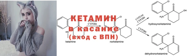 ешки Алзамай